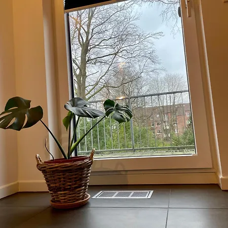 Modernes Holzhaus Im Skandinavischen Stil Mit Grossem Garten Und Sauna *